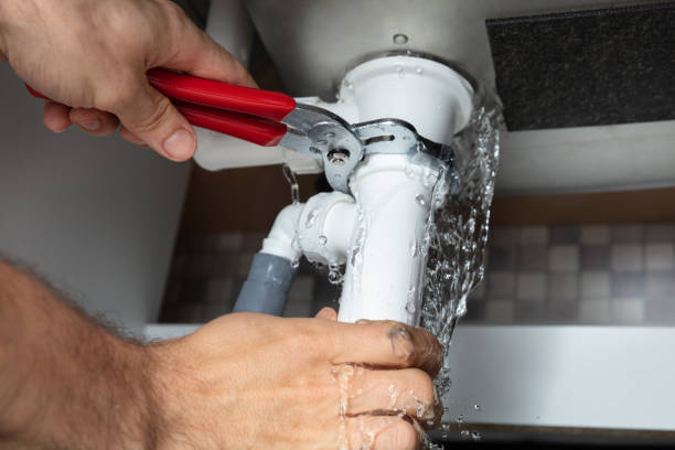Best Mold removal after water damage  in Boonville, MO