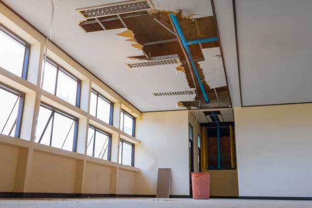 Best Professional water damage repair  in Boonville, MO