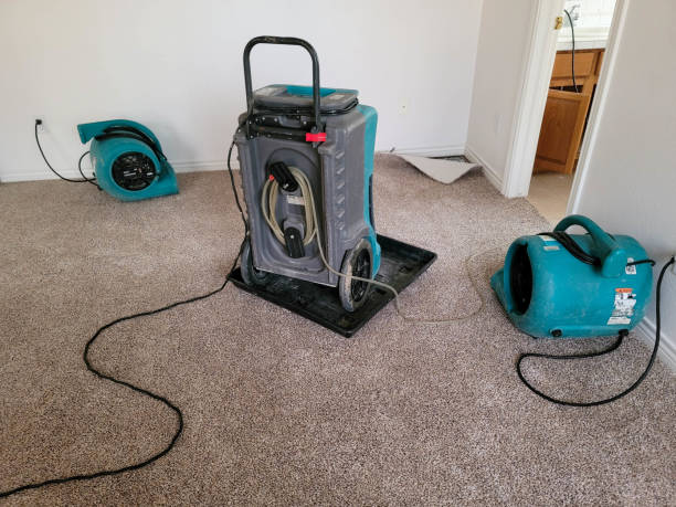 Best Flooded house restoration  in Boonville, MO