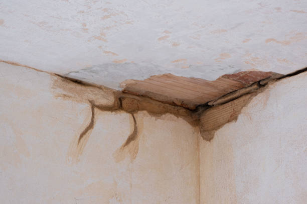 Best 24/7 water damage repair  in Boonville, MO