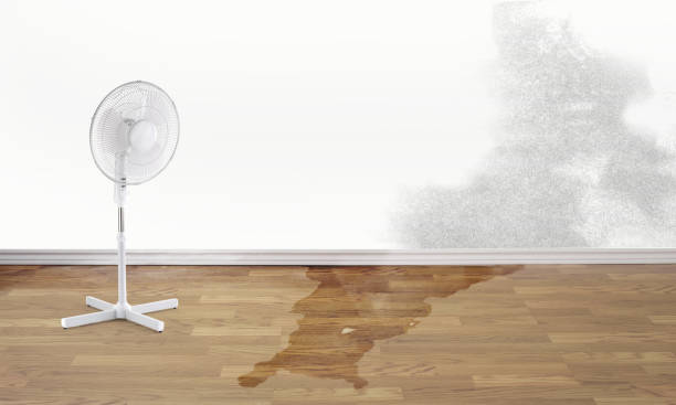 Best Water damage restoration cost  in Boonville, MO
