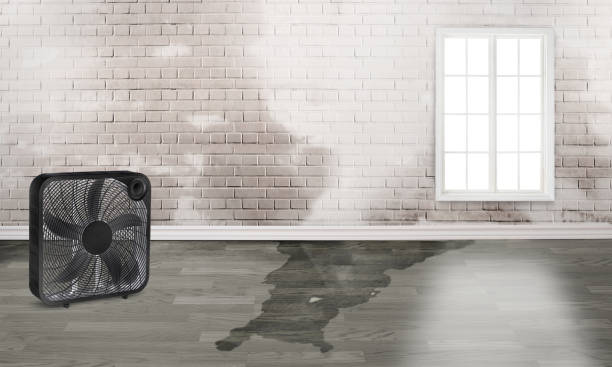 Best Emergency water damage restoration  in Boonville, MO