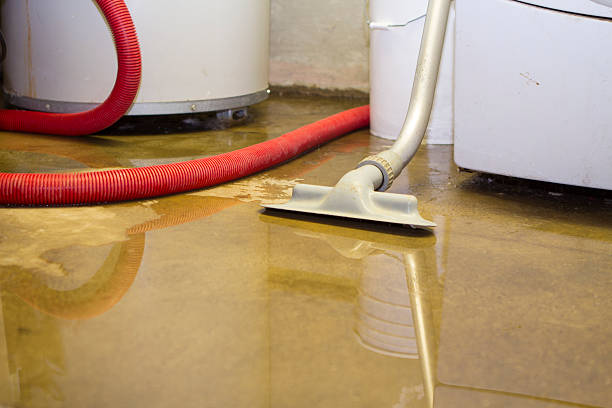 Best Flood damage cleanup  in Boonville, MO
